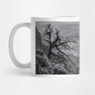 Tree at Lipan Overlook Grand Canyon B&W Mug